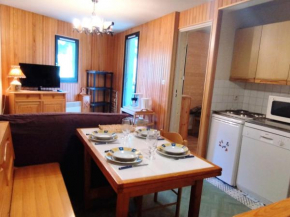 Apt Pied de Pistes, 4 Pers, 1 Ch, TV, Balcon, Casier à Ski - FR-1-771-44